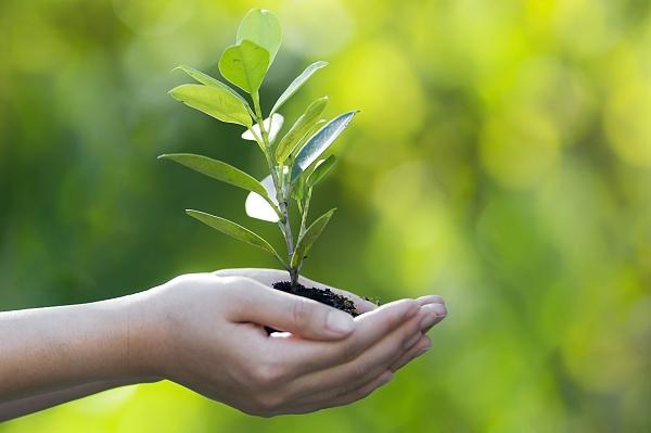[Arbor Day Special] Protecting the Green and Protecting the Earth