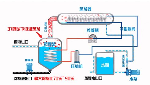 ニュース